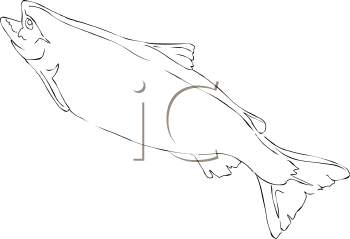 Fish and Sea Life Clipart