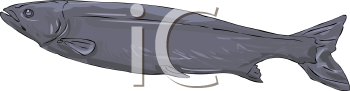 Fish and Sea Life Clipart