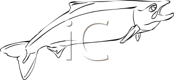 Fish and Sea Life Clipart