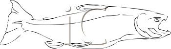 Fish and Sea Life Clipart