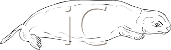 Mammal Clipart