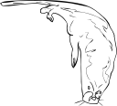 Mammal Clipart