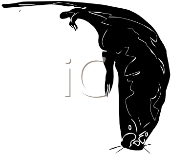 Aquatic Animals Clipart