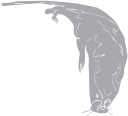 Mammal Clipart