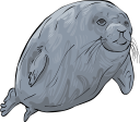 Mammal Clipart