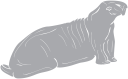 Mammal Clipart