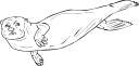 Mammal Clipart