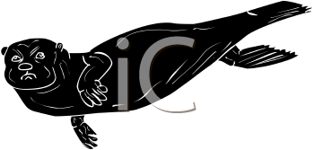 Aquatic Animals Clipart