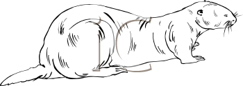 Aquatic Animals Clipart
