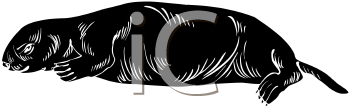 Aquatic Animals Clipart