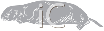 Mammal Clipart