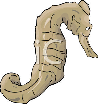 Fish and Sea Life Clipart