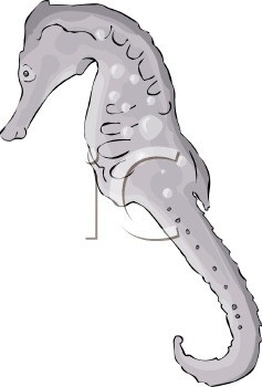 Fish and Sea Life Clipart