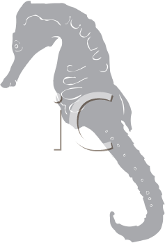 Fish and Sea Life Clipart