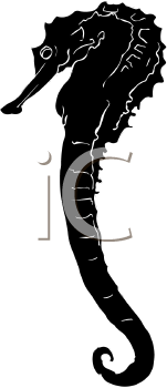 Fish and Sea Life Clipart