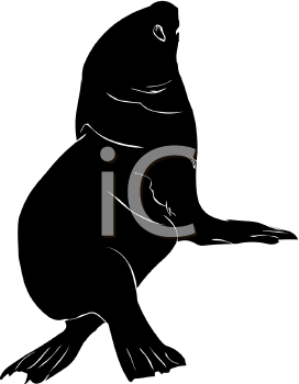 Aquatic Animals Clipart