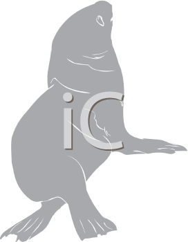 Aquatic Animals Clipart