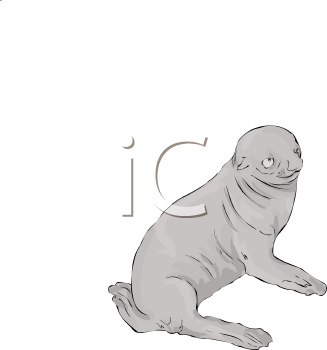 Fish and Sealife Clipart