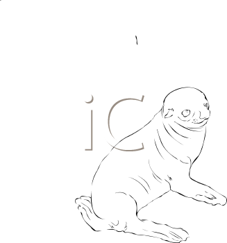 Aquatic Animals Clipart