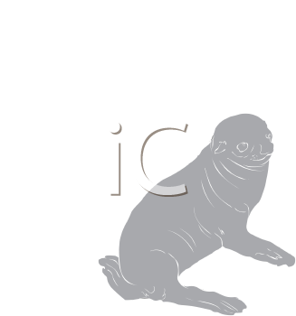 Fish and Sealife Clipart