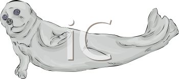 Fish and Sealife Clipart