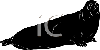Aquatic Animals Clipart