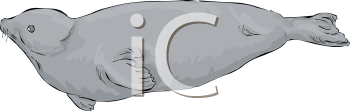 Aquatic Animals Clipart