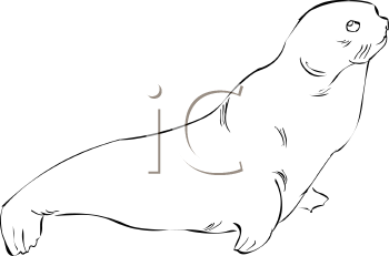 Fish and Sealife Clipart