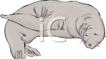 Fish and Sealife Clipart