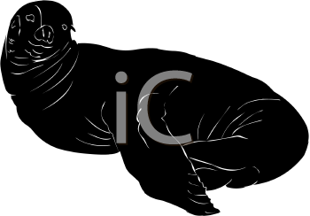 Aquatic Animals Clipart