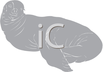 Aquatic Animals Clipart