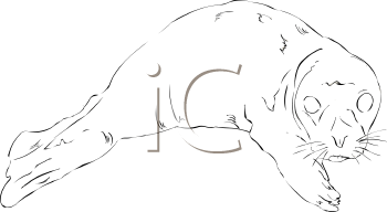 Fish and Sealife Clipart