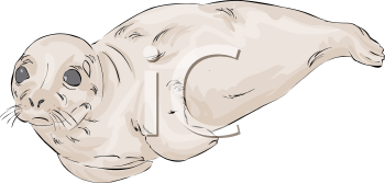 Aquatic Animals Clipart
