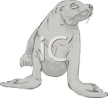 Aquatic Animals Clipart
