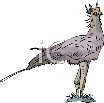 Bird Clipart