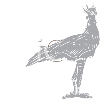 Bird Clipart