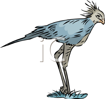 Bird Clipart