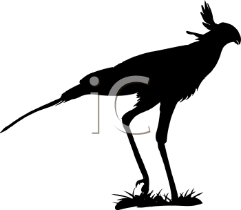Bird Clipart