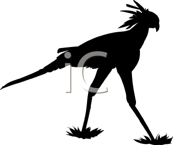 Bird Clipart