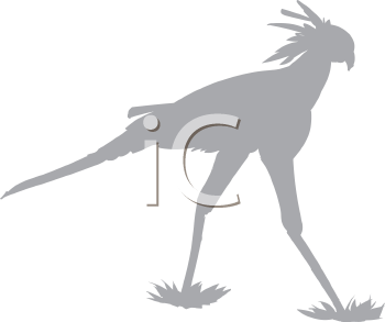 Bird Clipart