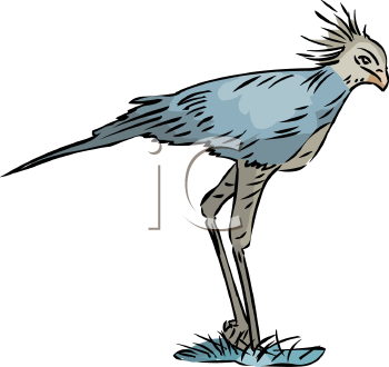 Bird Clipart