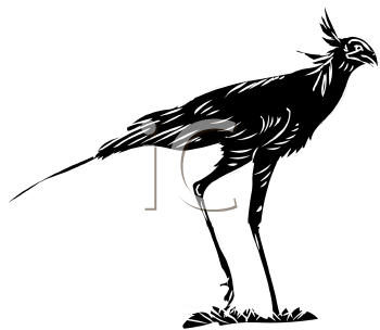 Bird Clipart