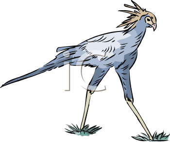 Bird Clipart