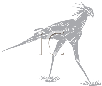 Bird Clipart