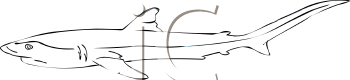 Fish and Sea Life Clipart