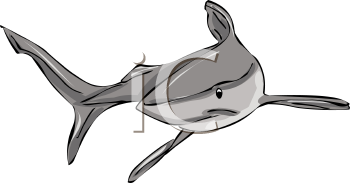 Fish and Sea Life Clipart