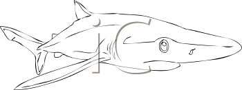 Fish and Sea Life Clipart