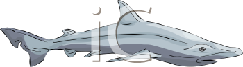 Fish and Sea Life Clipart