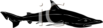Fish and Sea Life Clipart