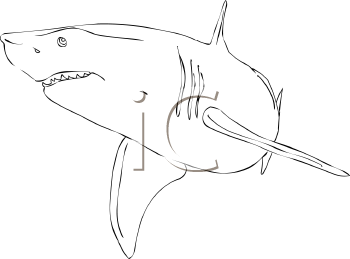 Fish and Sea Life Clipart